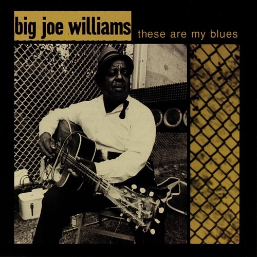 These Are My Blues Big Joe Williams