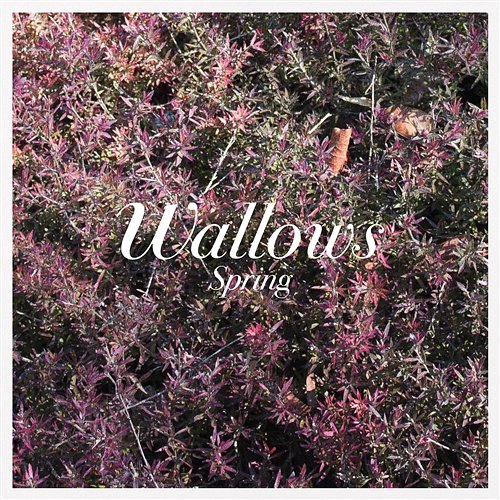 These Days Wallows