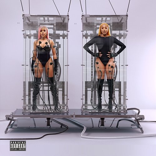 Thick Slim Ney The Bae & Nadia Nakai