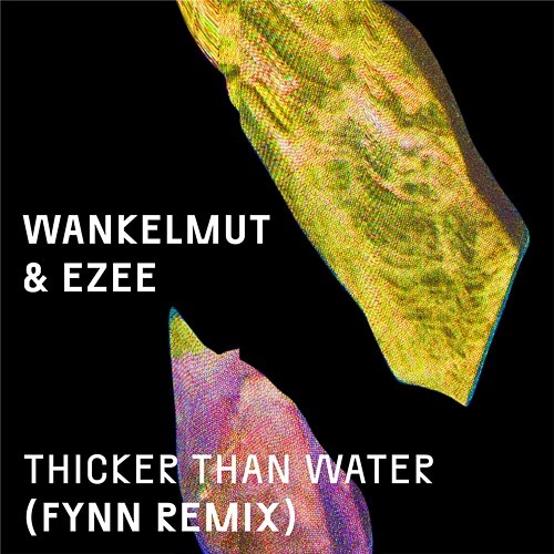 Thicker Than Water Wankelmut & EZEE