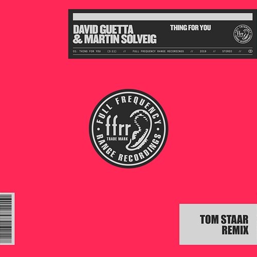Thing For You David Guetta & Martin Solveig