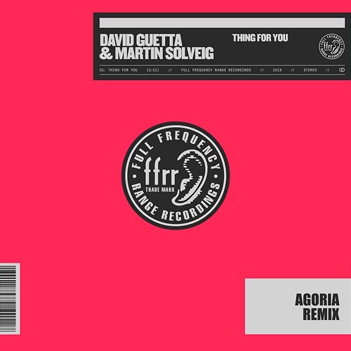 Thing For You David Guetta & Martin Solveig