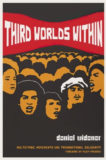 Third Worlds Within Daniel Widener