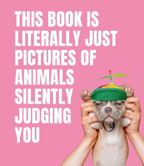 This Book is Literally Just Pictures of Animals Silently Judging You Opracowanie zbiorowe