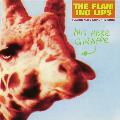 This Here Giraffe The Flaming Lips