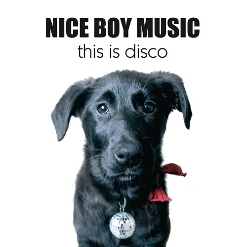 This Is Disco Nice Boy Music