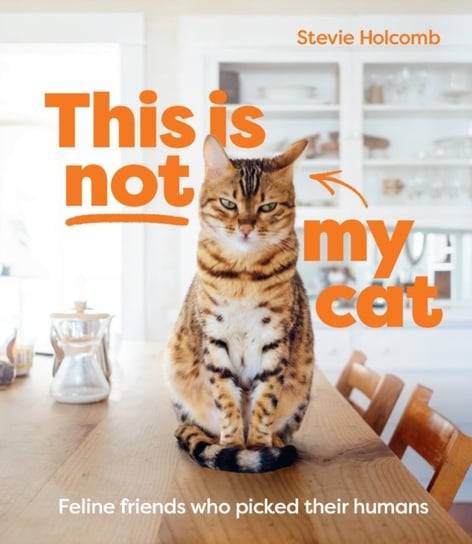 This is not my cat: Feline friends who picked their humans Stevie Holcomb