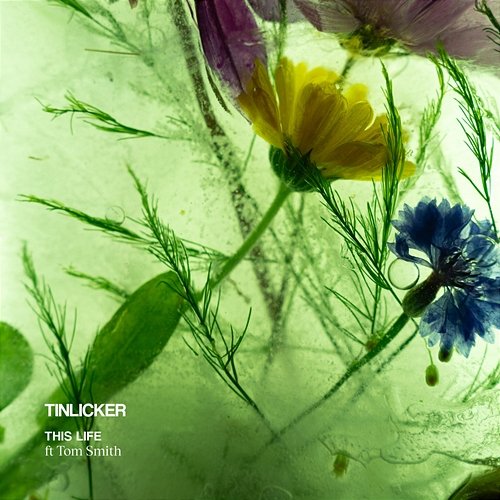 This Life (feat. Tom Smith) Tinlicker, Tom Smith