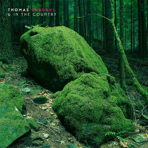 Thomas Dybdahl & In The Country Thomas Dybdahl, In The Country