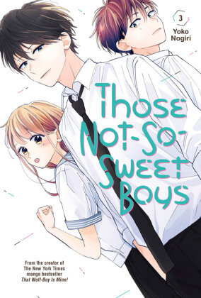 Those Not-So-Sweet Boys 3 Kodansha Comics