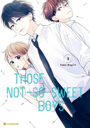 Those Not-So-Sweet Boys - Band 3 Crunchyroll Manga