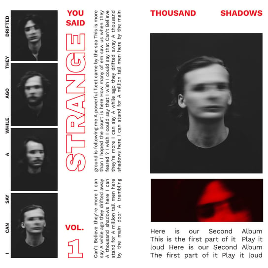 Thousand Shadows Volume 1 You Said Strange