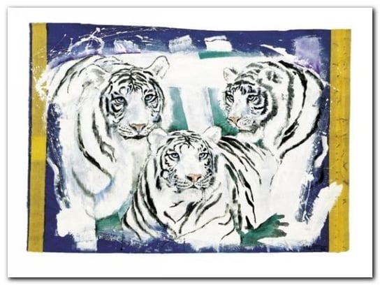Three White Tigers plakat obraz 80x60cm Wizard+Genius