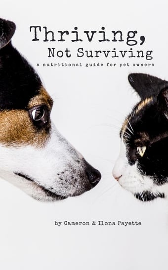 Thriving, Not Surviving - ebook epub Cameron Payette, Ilona Payette