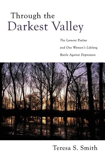 Through the Darkest Valley Smith Teresa S.