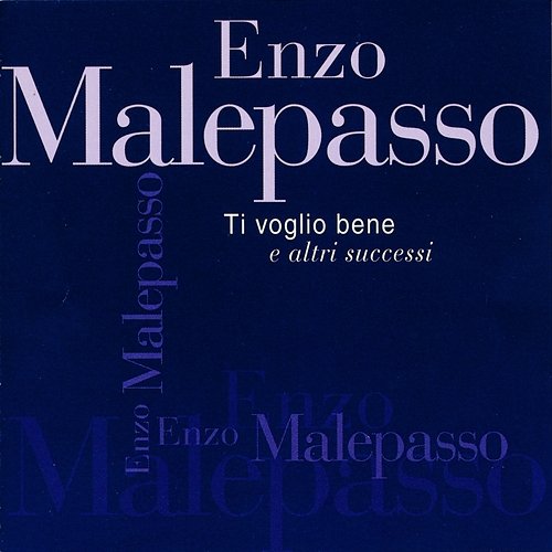 Biografia Di Un Amore Enzo Malepasso