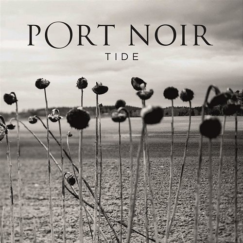Tide Port Noir
