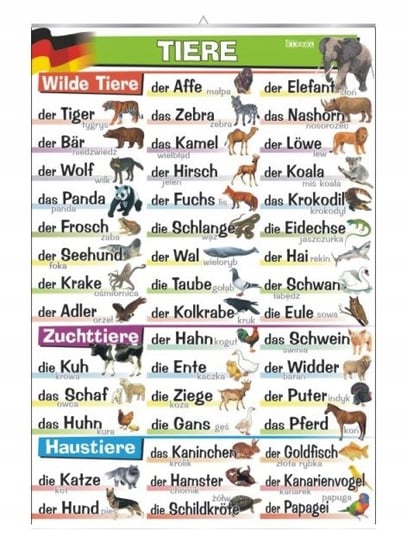 Tiere słownictwo niemiecki plansza plakat VISUAL System