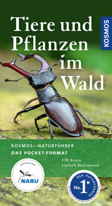 Tiere und Pflanzen im Wald Kosmos (Franckh-Kosmos)