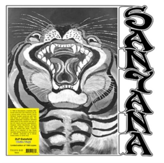Tiger's Head Santana