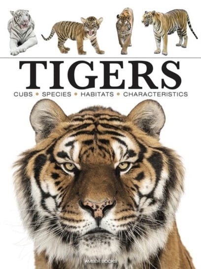 Tigers Paula Hammond