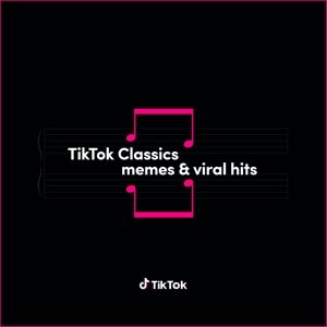 Tiktok Classics - Memes & Viral Hits Various Artists