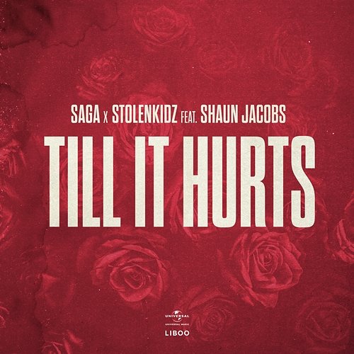 Till It Hurts Saga, Stolenkidz feat. Shaun Jacobs