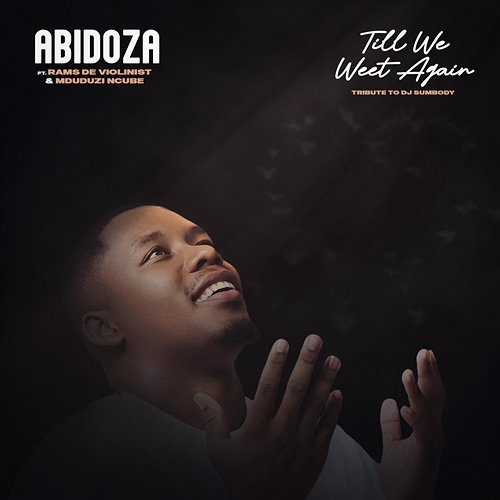 Till We Meet Again (Tribute to DJ Sumbody) Abidoza feat. Mduduzi Ncube, Rams De Violinist
