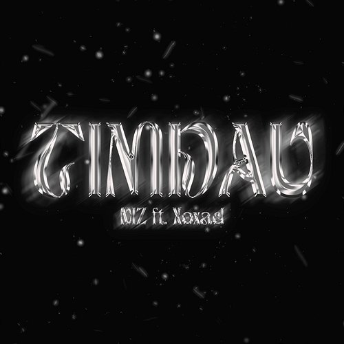 TIMDAU Xoxad, Niz