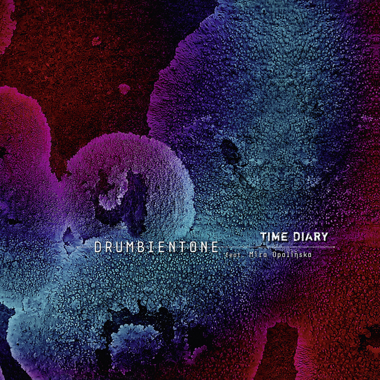 Time Diary Drumbientone