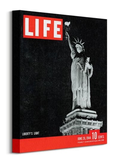 Time Life Statue Of Liberty - Obraz Na Płótnie Pyramid