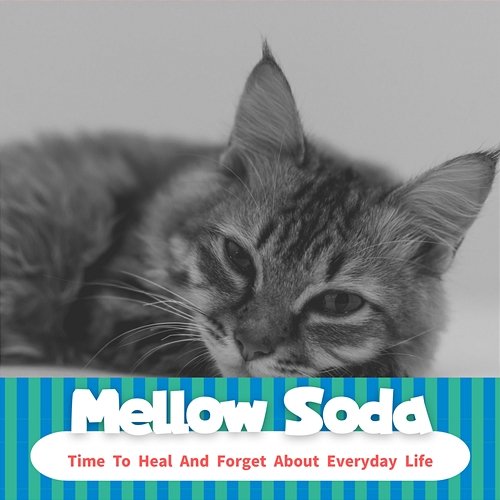 Time to Heal and Forget About Everyday Life Mellow Soda