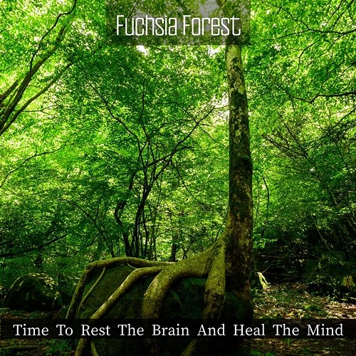 Time to Rest the Brain and Heal the Mind Fuchsia Forest