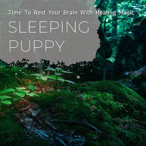 Time to Rest Your Brain with Healing Music Sleeping Puppy