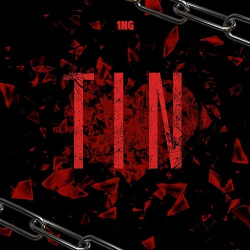 Tin 1NG
