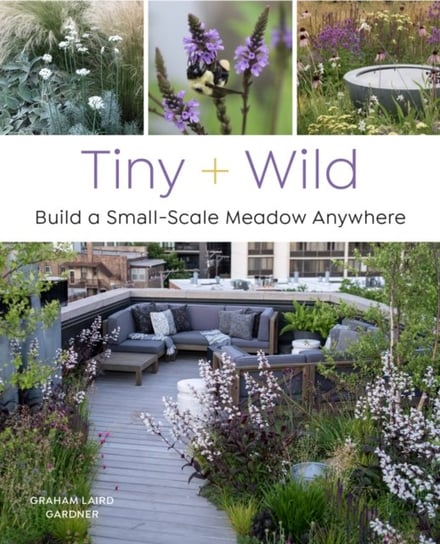 Tiny and Wild: Build a Small-Scale Meadow Anywhere Quarto Publishing Group USA Inc