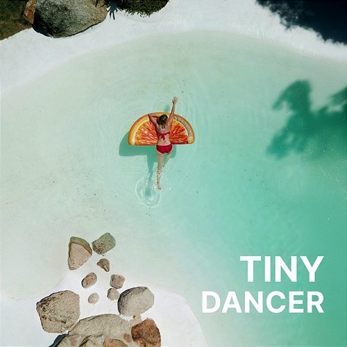 Tiny Dancer Can You Say Jack?, MR ANDERSSON