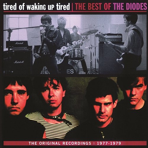 Tired Of Waking Up Tired: The Best of The Diodes The Diodes