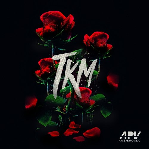 TKM Arce