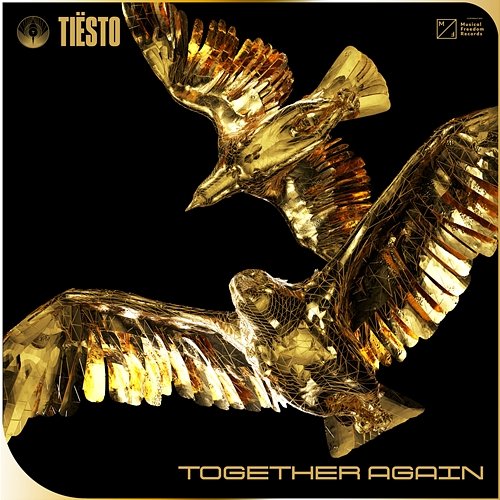 Together Again Tiësto
