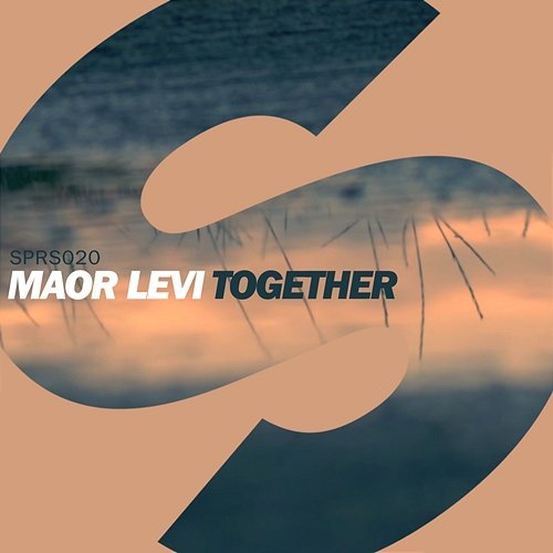 Together Maor Levi