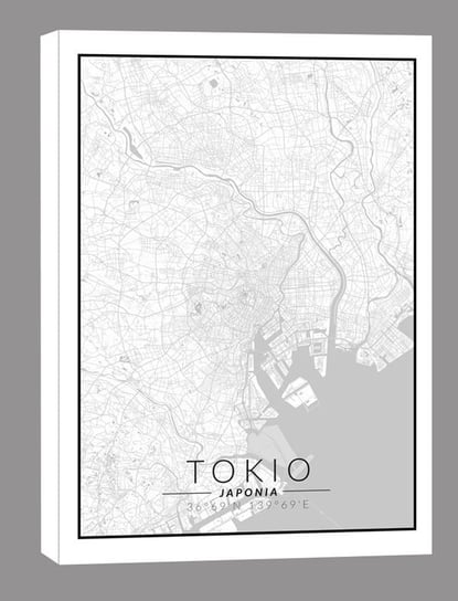 Tokio mapa czarno biała - obraz na płótnie 60x90 cm Inna marka