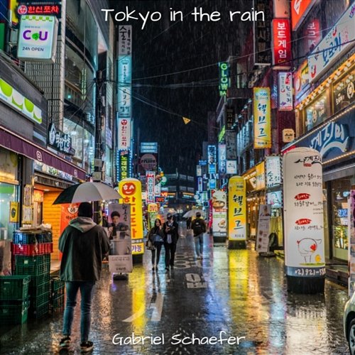 Tokyo in the Rain Gabriel Schaefer
