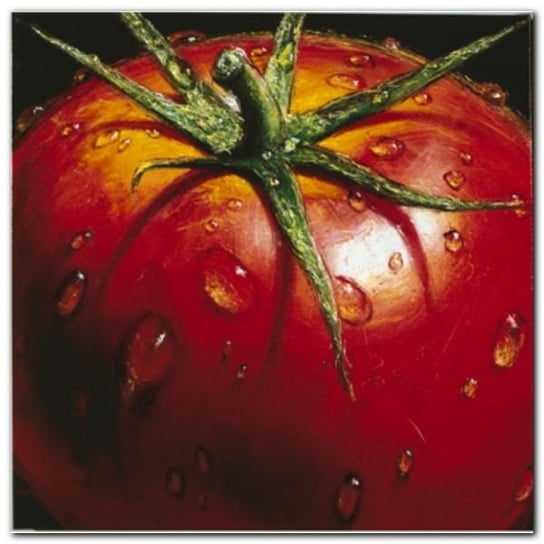 Tomato plakat obraz 50x50cm Wizard+Genius