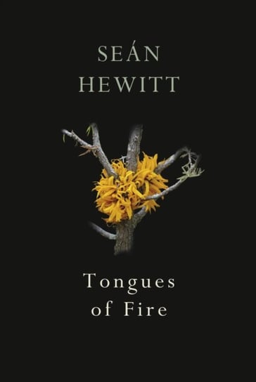 Tongues of Fire Sean Hewitt