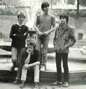 Tony Fletcher Walked On Water, płyta winylowa The Chameleons