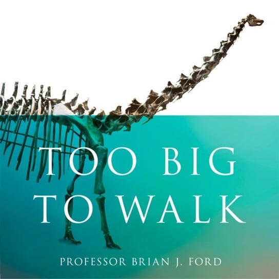 Too Big to Walk - audiobook Ford Brian J.