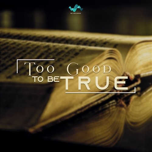 Too Good To Be True NS Records
