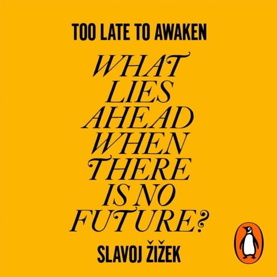 Too Late to Awaken Zizek Slavoj