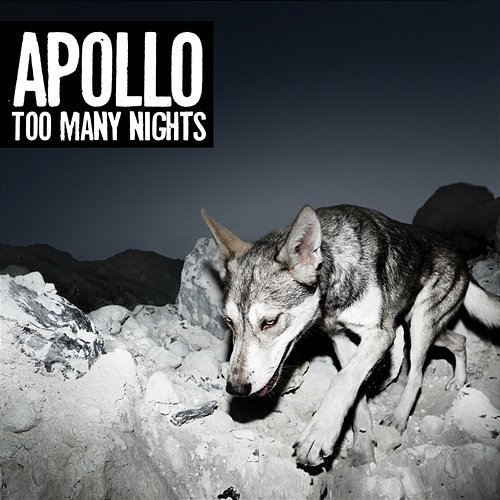 Too Many Nights Apollo